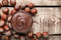 Melted chocolate with hazelnuts Royalty Free Stock Photo