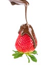Melted chocolate pouring on fresh strawberry Royalty Free Stock Photo