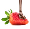 Melted chocolate pouring on fresh strawberry Royalty Free Stock Photo
