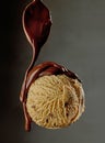 Melted chocolate pouring on ice cream ball Royalty Free Stock Photo