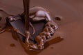 Melted chocolate swirl background. Liquid chocolate close-up Royalty Free Stock Photo