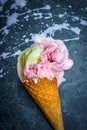 Melted ice cream lying on the ground Royalty Free Stock Photo