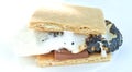 Melted marshmallow on S`More roasted treat Royalty Free Stock Photo