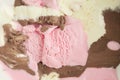 Melted Neapolitan Ice Cream Royalty Free Stock Photo