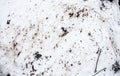 Melted snow on a field. Dirt and snow. Sand and Snow. background. Ground texture with branch and twig in sping.