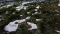 Melted snow over green grass