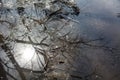 Melted snow and reflection of spring trees in a puddle.