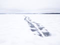 Melted snowmobile tracks on a frozen lake. Royalty Free Stock Photo