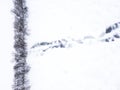 Melted snowmobile tracks on a frozen lake. Royalty Free Stock Photo