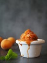 Melting apricot sorbet in white bowl and fresh apricots on dark background