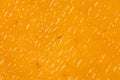 Melting cheddar cheese closeup texture
