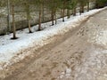 Melting dirty snow on the streets of the city during the daytime in winter. The pedestrian road along the fence has snow Royalty Free Stock Photo