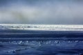 Melting, disintegrating ice at Arctic Ocean
