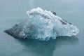 Melting floating icebergs in Jokulsarlon, Iceland