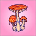 Melting fly amanita mushrooms hallucinogenic spore illustrations