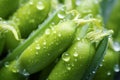 Melting frozen green peas, macro. Healthy food vegetables concept