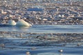 Ice field in greenland