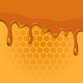 Melting honey on honeycomb texture Royalty Free Stock Photo