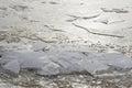 Melting ice in Baltic sea Royalty Free Stock Photo