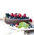 Melting ice cream with chocolate glaze and berries. Royalty Free Stock Photo