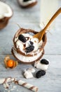 Meltingmelting ice cream in coconut shell, decorated with mulberry and physalis berries Royalty Free Stock Photo