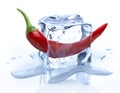 Melting Ice Cube with Red Chillie Pepper Royalty Free Stock Photo