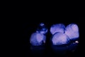 Melting ice cubes on black background. Royalty Free Stock Photo