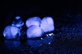 Melting ice cubes on black background. Royalty Free Stock Photo