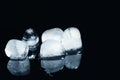 Melting ice cubes on black background. Royalty Free Stock Photo