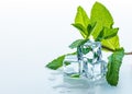 Melting Ice cubes with fresh mint leaves and water drops on a table. Clear ice in cube shape. Royalty Free Stock Photo