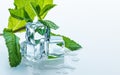 Melting Ice cubes with fresh mint leaves and water drops on a table. Clear ice in cube shape. Royalty Free Stock Photo