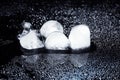 Melting ice cubes and water drops on black background. Royalty Free Stock Photo