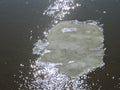 Melting ice drifting in sparkling water of spring river