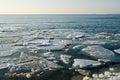 Melting ice floe at the sea