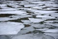 Melting ice floes in water Royalty Free Stock Photo