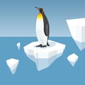 Melting Iceberg And King Penguin