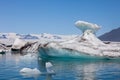 Melting Icebergs in Iceland, Climate Change Concept