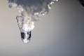 Melting icicle with dripping water drop with crystal clear water drop from melting ice Royalty Free Stock Photo