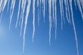 Melting icicles on slue sky backgorund. Spring, warming concept. Dangerous icicles on blue sky background. Royalty Free Stock Photo