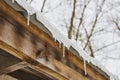 Melting Icicles and Winter Trees, Upward View Royalty Free Stock Photo