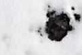 Melting snow background, hole with black wet ground Royalty Free Stock Photo