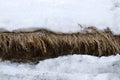 Melting snow on the cliff. Dry grass on ground. Spring Royalty Free Stock Photo