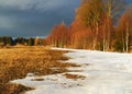 Melting snow in early spring