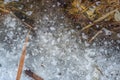 Melting snow in early spring as background