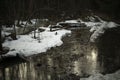 Melting snow in forest in evening. Details of nature in spring