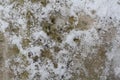 Melting snow on the gray ground Royalty Free Stock Photo