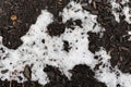 Melting snow on the ground Royalty Free Stock Photo