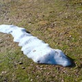 Melting snow on a ground Royalty Free Stock Photo