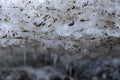 Melting snow with ice hummocks background. Spring background. Nature winter landscape. Royalty Free Stock Photo