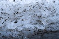 Melting snow with ice hummocks background. Spring background. Nature winter landscape. Royalty Free Stock Photo